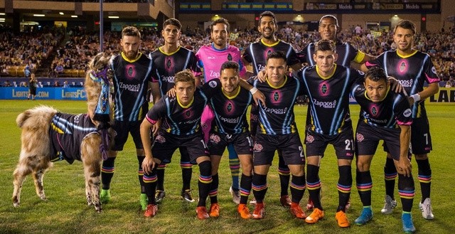 Las Vegas FC Lights - and the llama.